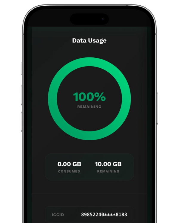 Abilita roaming dati